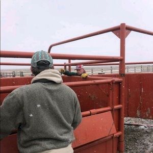 Meet your Posher, Colten